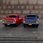 Combo Ford F-11000 (2 unidades) - Escala 1/24